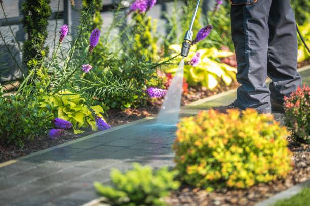 Trusted Dallas, TX Pressure Washing Experts