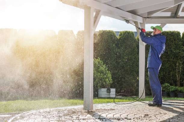 Best Dumpster Area Cleaning  in Dallas, TX